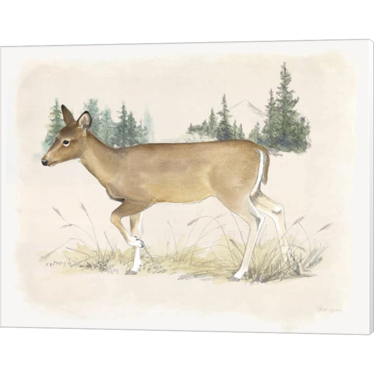 Wilderness Collection Deer by Beth Grove 20" x 16" Canvas Wall Art